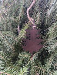 Julgransdekoration rostig Gran  - 6 CM