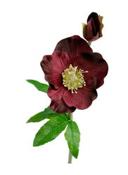 Julros 36 cm dekorations blomma