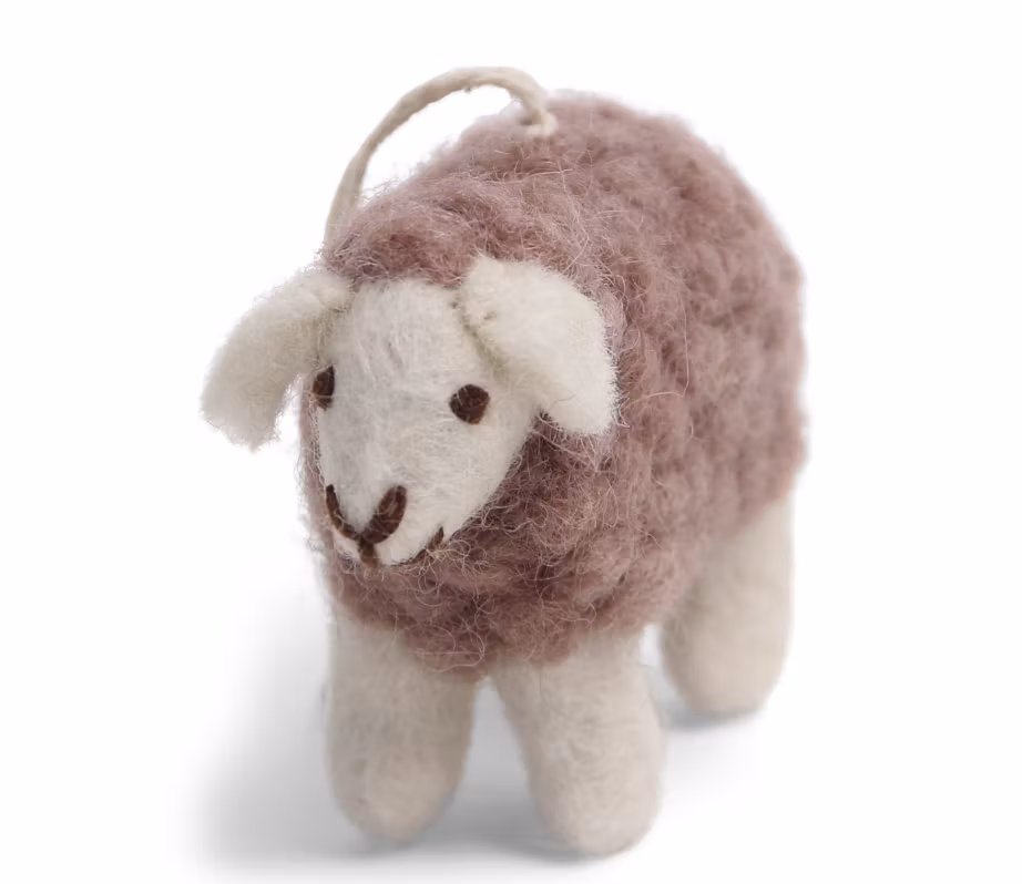 Mini Sheep  tuvad lamm
