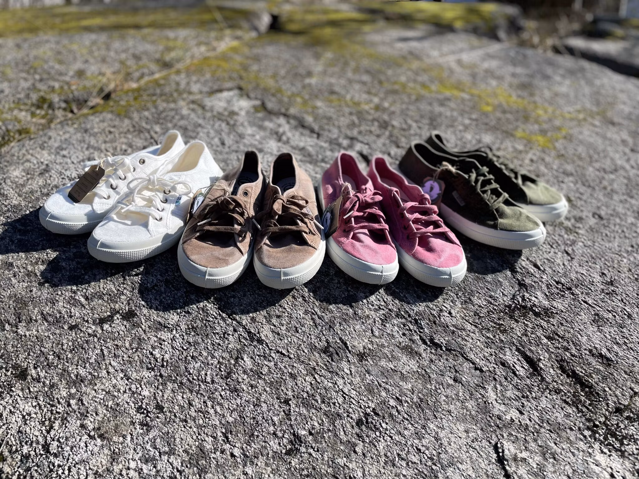 Natural World Old Blossom sneaker
