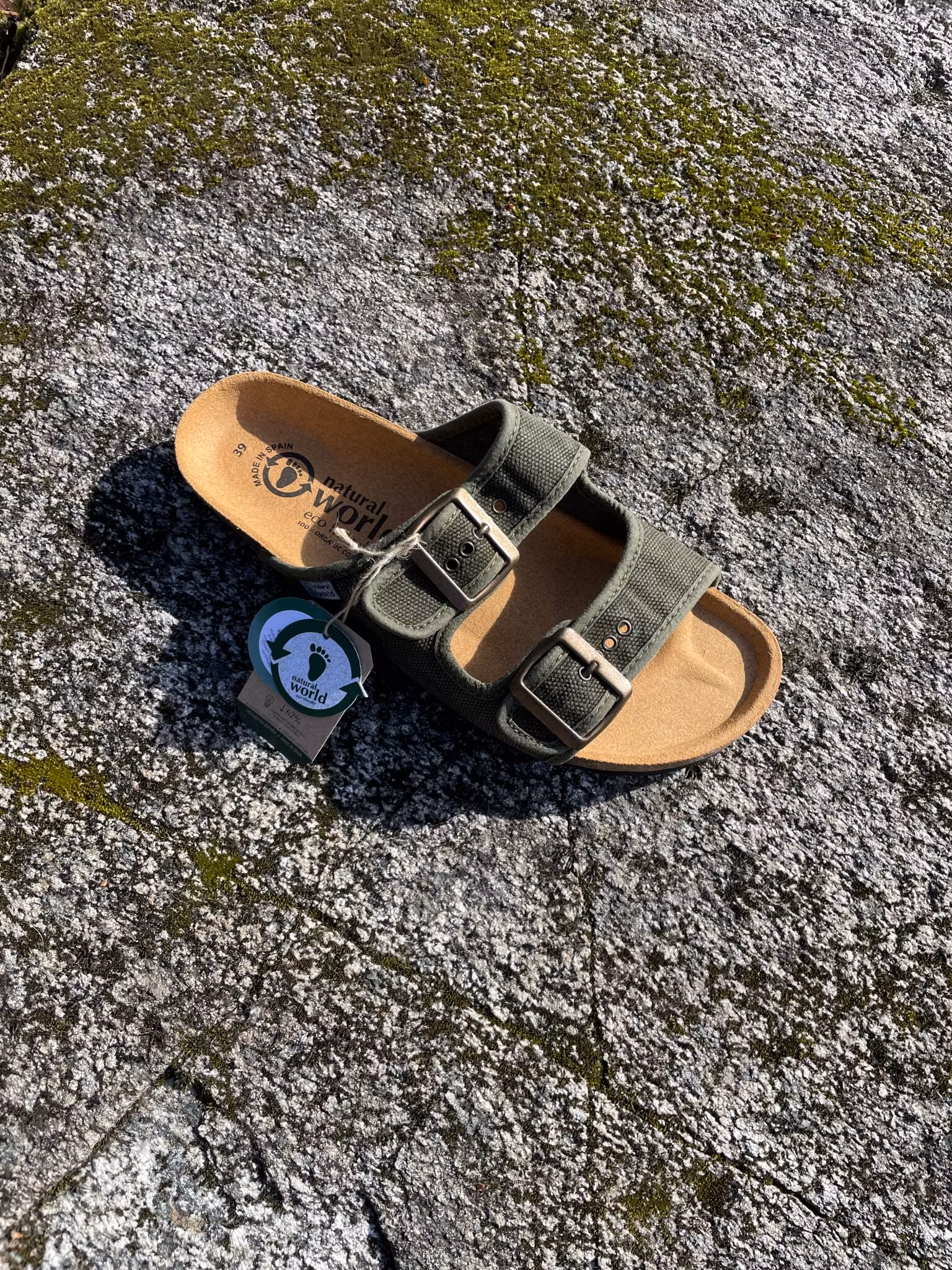 Sandal Tropical Natural World