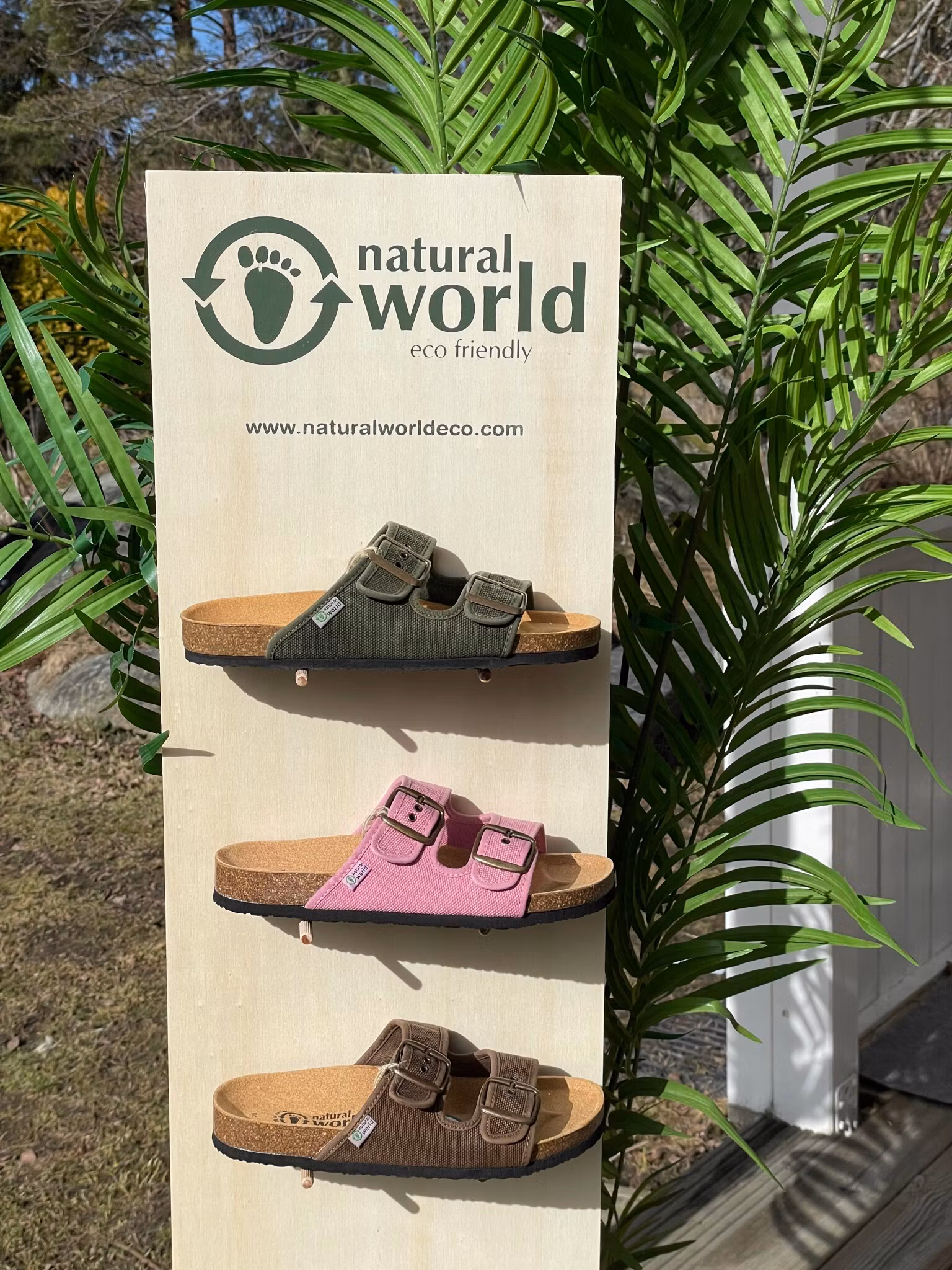 Sandal Tropical Natural World