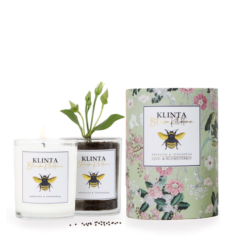 Bärnsten & Tonkaböna Doftljus och Blomsterkit i ett!