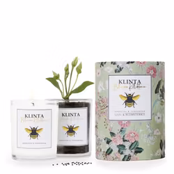 Bärnsten & Tonkaböna Doftljus och Blomsterkit i ett!