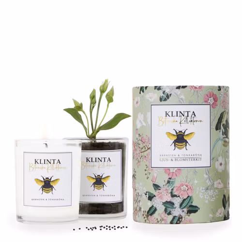 Bärnsten & Tonkaböna Doftljus och Blomsterkit i ett!