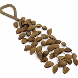 Seedsaker kenari