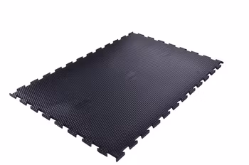 Stallmatta DB 2.1 pussel