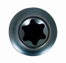 Krafthylsa Torx 3/4"D E18