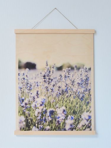 Lavendel