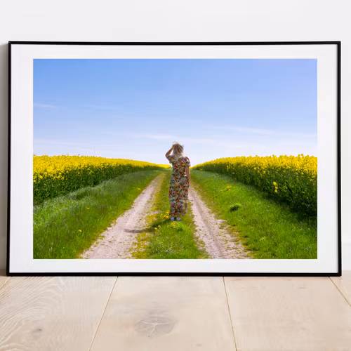 Rapsfält nära Borrby, Österlen.