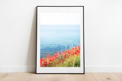 Vallmo Print