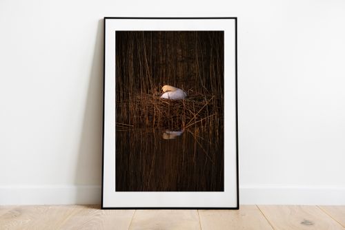 Mamma Svan Print