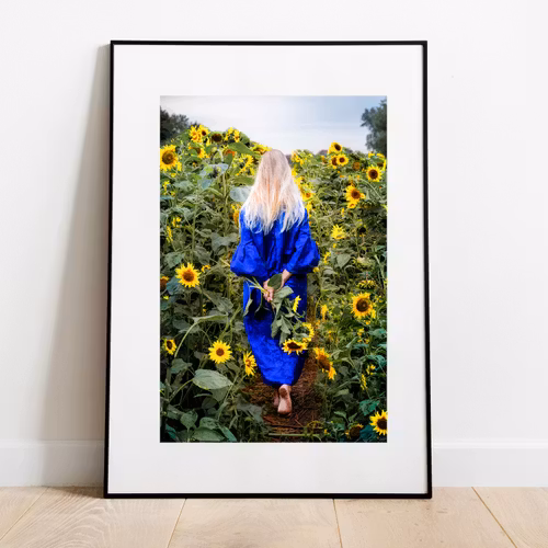 Solrosor Köpingebro Print