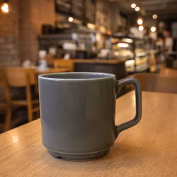 Robert Mugg grå 25cl, 6 st/frp Blocho