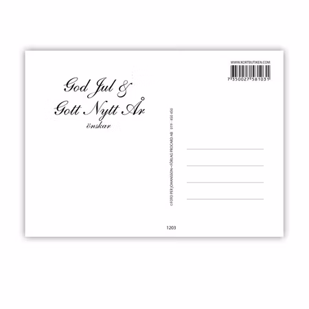 Julkort - Domherre i snö