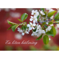En liten hälsning