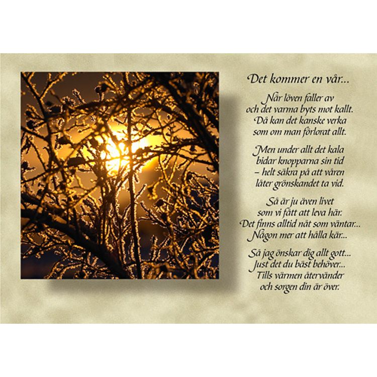 Diktkort med text av Siv Andersson - Det kommer en vår. Foto: Per Johansson. Kortbutiken säljer detta vykort.