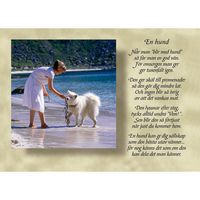 En hund