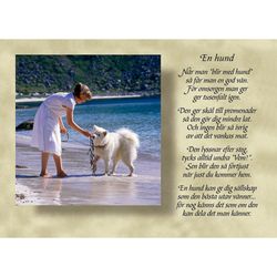 En hund