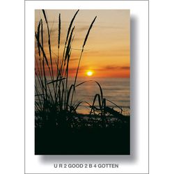 U R 2 GOOD 2 B 4 GOTTEN