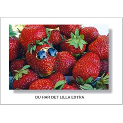 Du har det lilla extra
