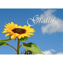 Grattis Solros