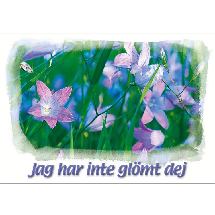 Jag har inte glömt dig