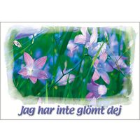 Jag har inte glömt dig