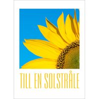Till en solstråle