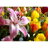 Blommor