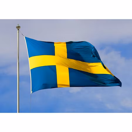 Sveriges flagga