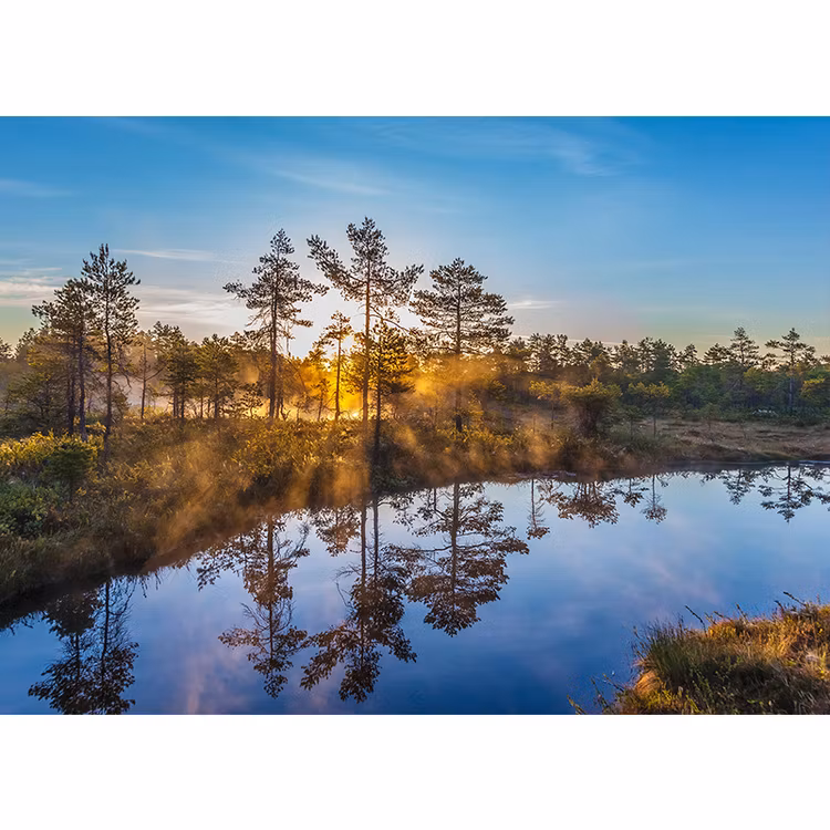 Vykort. soluppgång knuthöjdsmossen. Foto: Per Johansson - Joanzon. Kortbutiken säljer detta vykort.