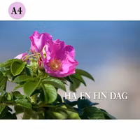 A4 kort - Ha en fin dag