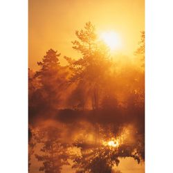 Morgonsol