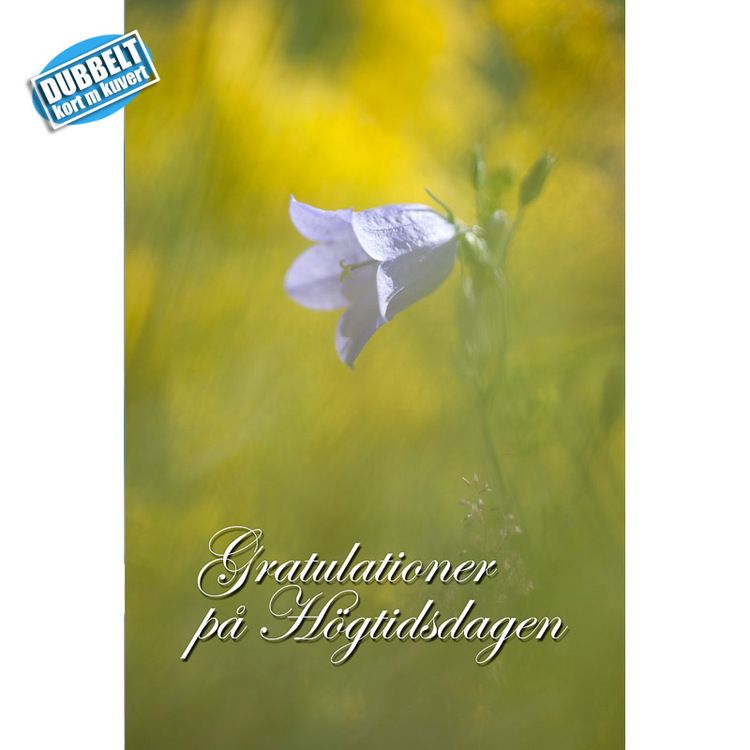 Dubbelt Vykort med kuvert  Gratulationskort - Blåklocka. Foto: Per Johansson - Joanzon. Kortbutiken säljer detta vykort.