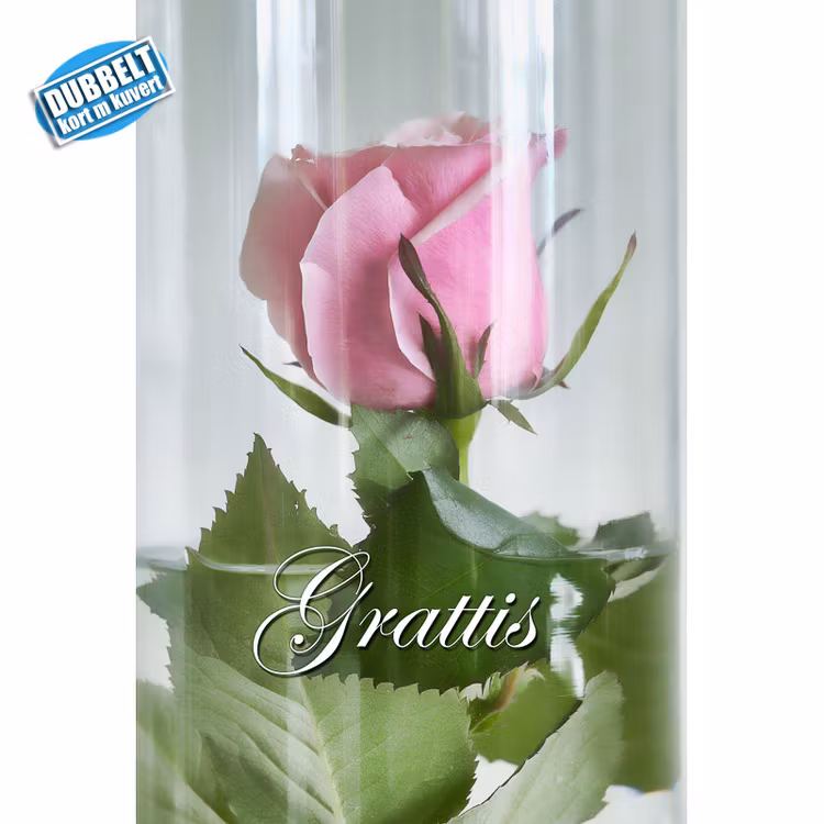 Dubbelt Vykort med kuvert  - Ros i glas - gratulation. Foto: Per Johansson - Joanzon. Kortbutiken säljer detta vykort.