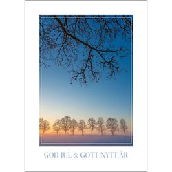 Julkort – Grenverk och träd