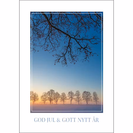 Julkort – Grenverk och träd