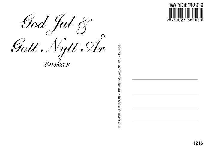 Julkort – Sol i trädkrona