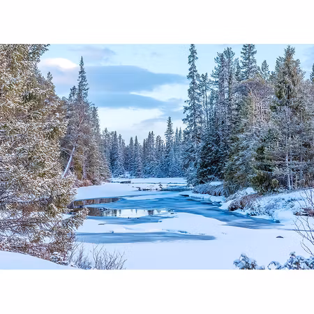 Julkort – Vinterälv