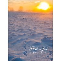 Julkort - Spår i snön