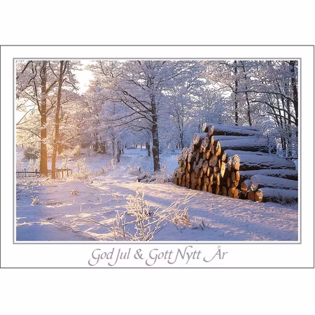 Julkort -Timmerstockar vid väg