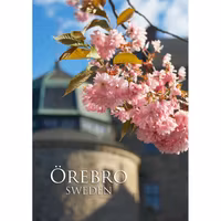 Vykort - Örebro slott med blommor