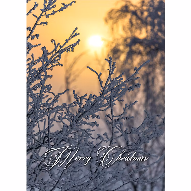 Julkort engelsk text - Merry Christmas