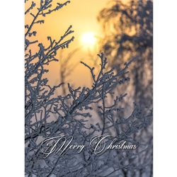 Julkort engelsk text - Merry Christmas
