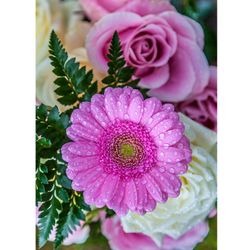 Cerise blommor i bukett