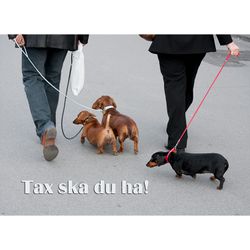 Tax ska du ha