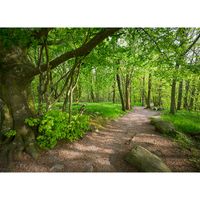 Bokskog - Stenshuvuds nationalpark
