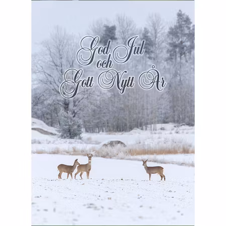 Julkort - Rådjur