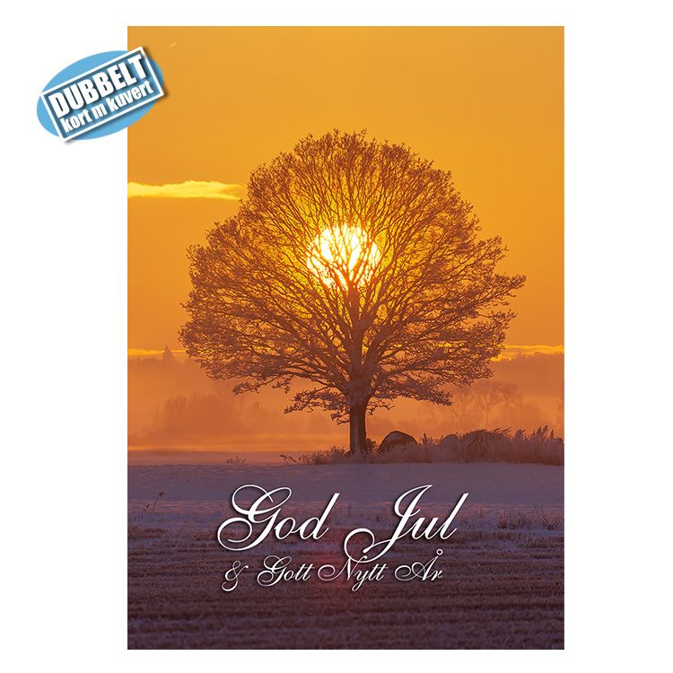 Dubbelt Julkort med kuvert - Sol i trädkrona